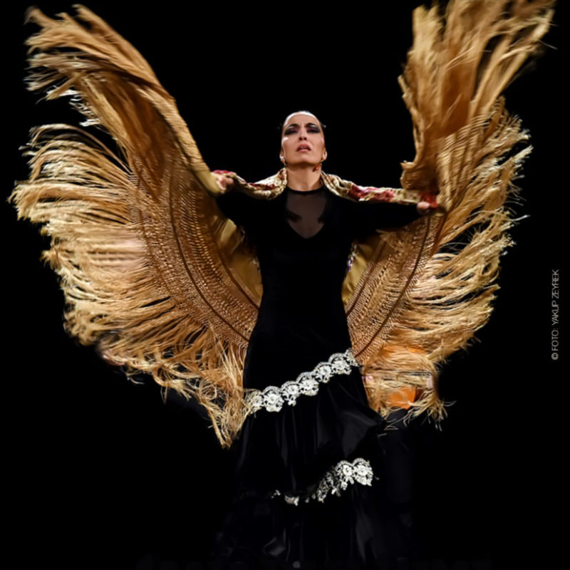 Projekte ?w=800&h=800&c=1 - Projekte